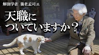 【養老孟司】天職についていますか？ 養老先生のお話を聞いて下さい。