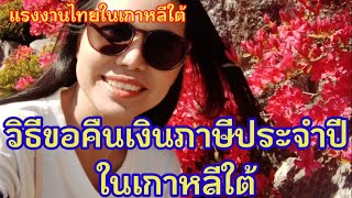 แรงงานไทยในเกาหลีใต้ วิธีขอคืนเงินภาษีประจำปีที่ประเทศเกาหลีใต้