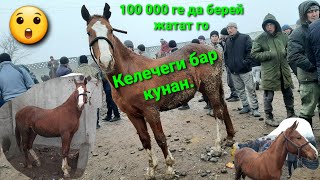 Эл чогултту бул кунан. Келечеги Бар экен да🐎