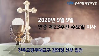 2020년 9월 9일 연중 제23주간 수요일 미사_특수사목 김의정 바오로 신부 집전