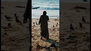 beach vibe....#shorts #shortvideo #beach #song #tamil #blackscreenstatus #viralvideo #viral