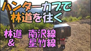 【CT125】ハンターカブで林道を往く　～ 林道南沢線　星竹線　ノーカット～