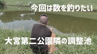 【自転車釣行】大宮第二公園の隣の調整池で小物を狙う