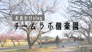 【お出かけvlog】チームラボ偕楽園／went to digitized Kairakuen Garden