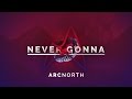 Arc North - Never Gonna (Radio Edit) (Official Audio)