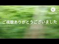 小田急vs京王　解説あり