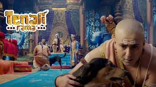 पंडित रामा कृष्ण ने कुत्ते से लगवाया चोर का पता || Tenali Rama -तेनाली रामा | Best Comedy Serial