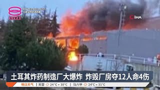 土耳其炸药制造厂大爆炸  炸毁厂房夺12人命4伤【2024.12.24 八度空间华语新闻】