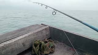 mancing di pantai cermin spot Jermal runtuh ikannya banyak sekali.