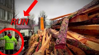 Emergency Shutdown! Worker Runs to Stop Disaster! Wood Chipping Process.