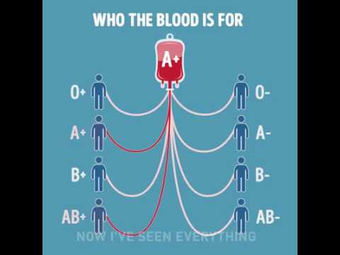 Which blood group can be donated to whom Which blood group can be donated to whom