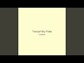 Tranquil Sky Pulse