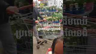 Buying plants ទិញដើមមកដាំក្នុងផ្ទះ