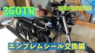 【カスタム】カワサキ 250TRのエンブレムシール交換編【アリエク】