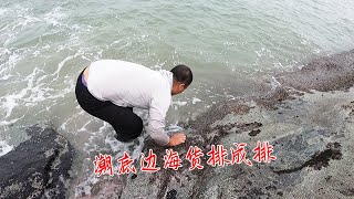 潮底赶海海货多得排成排，大熊一抓一大把，回家就让熊嫂做成美味