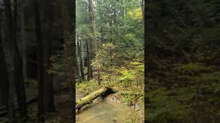 Whispering Falls Hocking Hills Region Ohio