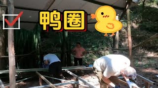 今天修鸭圈，我要在大深山里养鸭子，你们会支持吗？