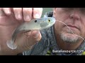 master fall bass fishing with soft swimbaits expert tips bass fishing