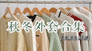 秋冬外套合集！显高显瘦 小个子必看！！秋冬小个子女生穿搭 | 平价有质感 精致温柔风 【小徐姑娘是我呀】