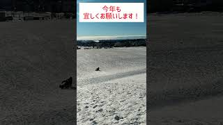 自然で遊ぼう！【明けましておめでとうございます🎍】正月早々ソリをしました。 #shorts