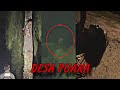 DESA PUAKA - DIRASUK PENUNGGU SAWIT TERAPUNG ATAS POKOK | Paranormal DZP Dauz | Hantu Berbisik Seram