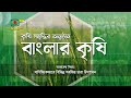 বাংলার কৃষি - বাণিজ্যিকভাবে বিভিন্ন সবজির চারা উৎপাদন - Banglar Krishi