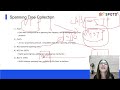 ccie mastering stp spanning tree protocol –my ccie journey