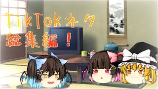 【東方改変PV\u0026ゆっくりPV】TikTokネタ総集編　第三弾！