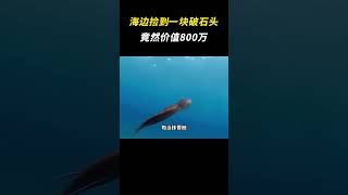 海边捡到一块破石头，竟然价值800万 #龙涎香 #万万没想到 #离谱