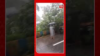 Thane Kalva Tree Collapsed : ठाण्यातील मासुंदरा तलाव परिसरातील उंबराचं झाडं कोसळलं :ABP Majha