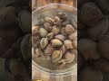 how to easily clean your clams out of any sand or grit