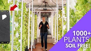 Hydroponic Farm Tour | AquaShield's first test farm