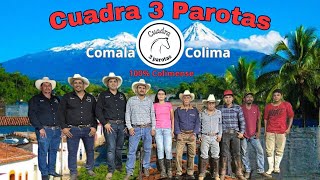 CONOCE A CUADRA 3 PAROTAS DE COMALA COLIMA