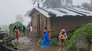 Surviving Life in the Nepali Mountains During the Rainy Season |Epic 2|All Season documentary  Video