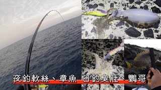 HP黑白釣20211104澎湖東嶼坪獨立礁夜釣軟絲、章魚 日釣臭肚、鸚哥