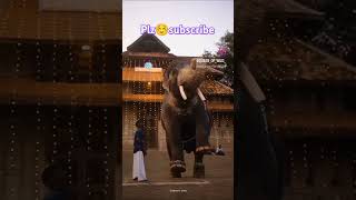 ആഹാ❤️😂എന്താ💞അവന്റെ☺️ഒരുചാട്ടം😚ഇവൻപൊളിയല്ലേ#video#elephanat#youtube#fan#shorts#elephantvideo