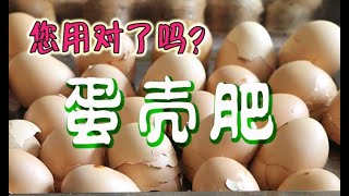 蛋壳肥的制作和使用, 任何植物和花都可以用 - How I Use Eggshells to Fertilize my Organic Garden