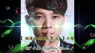 【 相愛分開都是罪 dj 】六哲 ( DJ 小嘉 ProgHouse Remix )