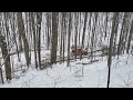 timberjack 225 detroit winter logging