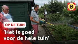 Wondermiddel voor het bestrijden van luizen | Op de tuin