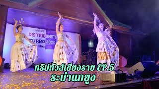 ทริปทัวส์เชียงราย EP5 ระบำนกยูง Peacock Dance