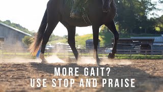 Want more Gait?  Want faster gait???  Stop and praise works!  LIVE