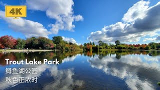 Trout Lake Park - Travel Guide