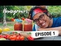 SPICY LOVE | HOMEGROWN | EPISODE 1 | TVS ENTERTAINMENT