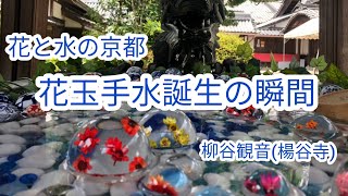 京都 柳谷観音（楊谷寺） 花玉手水誕生の瞬間 ２０２１年８月１日