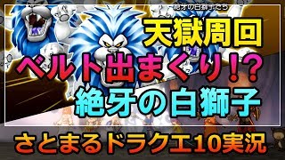 ドラクエ10実況【確率50%！？天獄周回で戦神のベルト取りまくり！絶牙の白獅子たち】