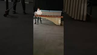 Toccata for marimba / Anna Ignatowicz