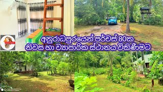 ඉහළ මාසික ආදායමක් ලැබිය හැකි ව්‍යාපාරය නිවසත් පර්චස් 80ක ඉඩම විකිණීමට🏠House for sale in Anuradhapura