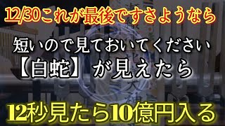 【緊急　必見】12/30※今すぐ見て全て報われます【白蛇】見れたら10億円入りますよ　幸運次々起きお金を続々呼び込む不思議動画　考え込まず行動に移す　完璧に人生大きく変わります