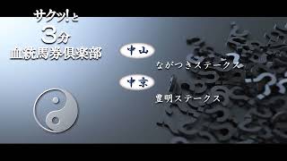 競馬血統予想【ながつきS・豊明S】三連複・ワイド・複勝によるローコストで効率的な競馬データ馬券戦略